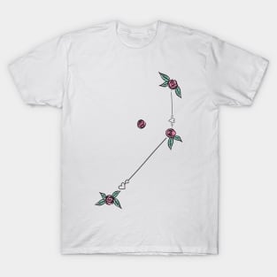 Pictor (The Easel) Constellation Roses and Hearts Doodle T-Shirt